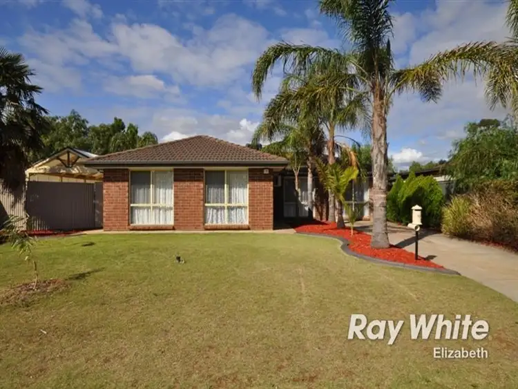 19 Riddoch Drive, Andrews Farm SA 5114
