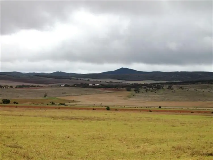 Main view of Homely rural property listing, 4 Sections Hundred of Hawker, Cowell SA 5602