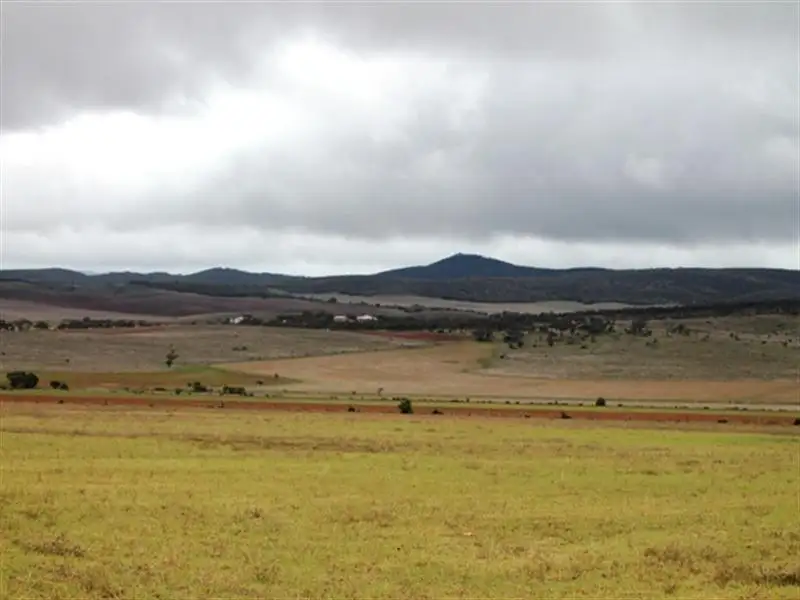 Main view of Homely rural property listing, 4 Sections Hundred of Hawker, Cowell SA 5602