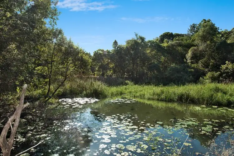 Seventh view of Homely land listing, 163 Windsor Road, Nambour QLD 4560