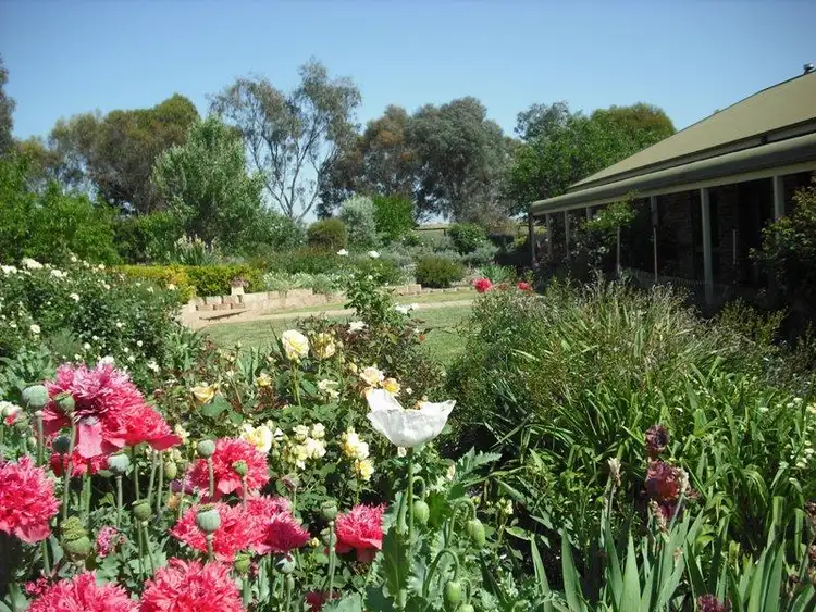 Second view of Homely rural property listing, 511 Pine Mount Road, Cowra NSW 2794