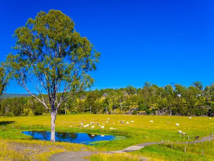 Fifth view of Homely rural property listing, 500 Cainbable Creek Road, Cainbable QLD 4285