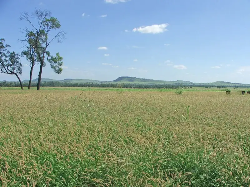 Main view of Homely rural property listing, 64 Barfield Road, Banana QLD 4702