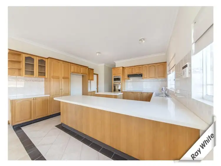 Sixth view of Homely house listing, 41 Culgoa Circuit, O'malley ACT 2606