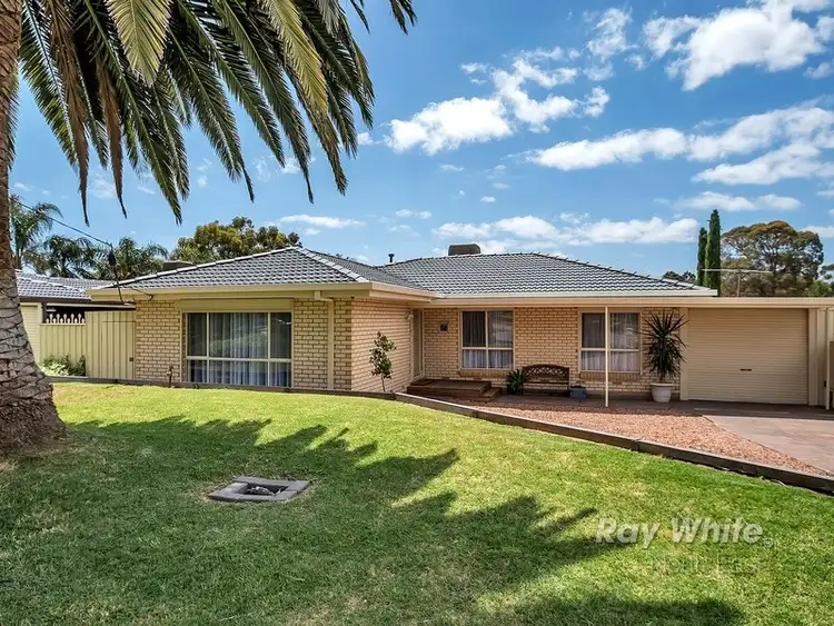 21 Baxter Avenue, Surrey Downs SA 5126