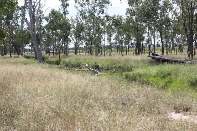 Fourth view of Homely rural property listing, 0 Millmerran-Cecil Plains, Millmerran QLD 4357