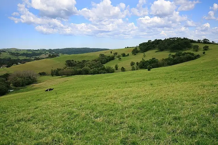 Seventh view of Homely rural property listing, Lot 2 Wallaby Hill Road, Jamberoo NSW 2533