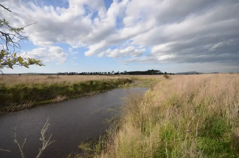 Main view of Homely land listing, CA 24 Trawalla - Waterloo Road, Trawalla VIC 3373