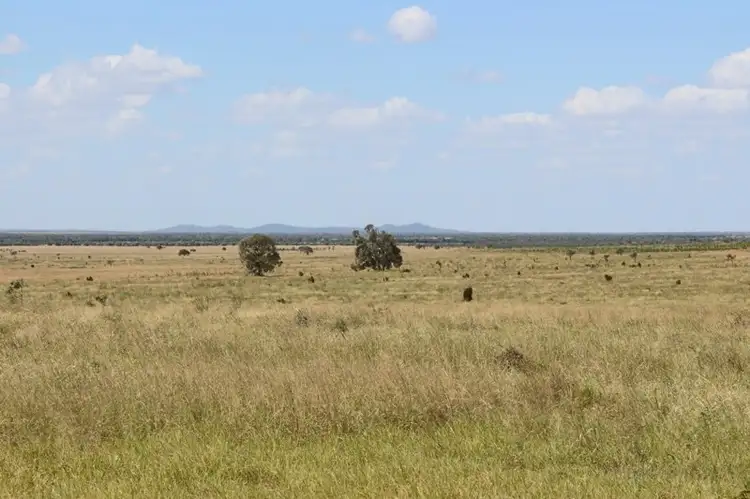 Main view of Homely rural property listing, "Cattle Creek" Diamond Downs Road, Clermont QLD 4721