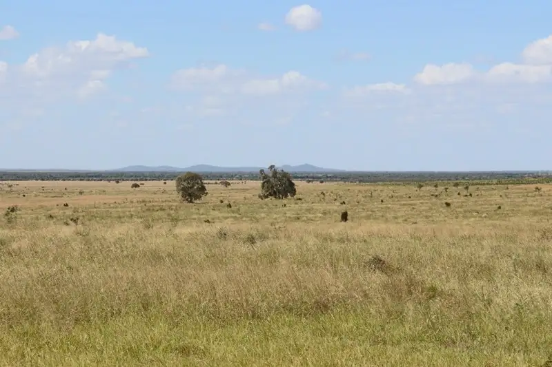 Main view of Homely rural property listing, "Cattle Creek" Diamond Downs Road, Clermont QLD 4721