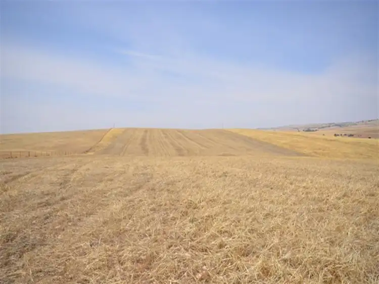 Seventh view of Homely rural property listing, 2 Lots RM Williams Highway, Andrews via, Spalding SA 5454