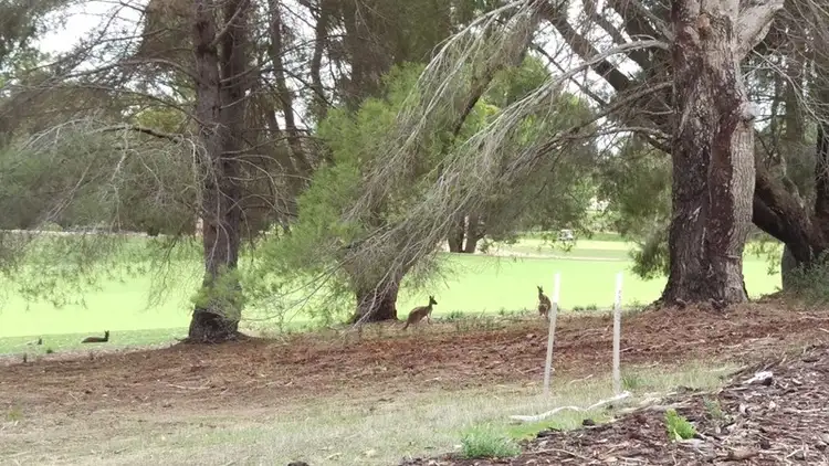 Third view of Homely land listing, 3 Birdie Grove, Yanchep WA 6035