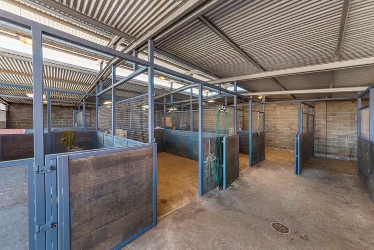 8 Austral Terrace, Morphettville SA 5043