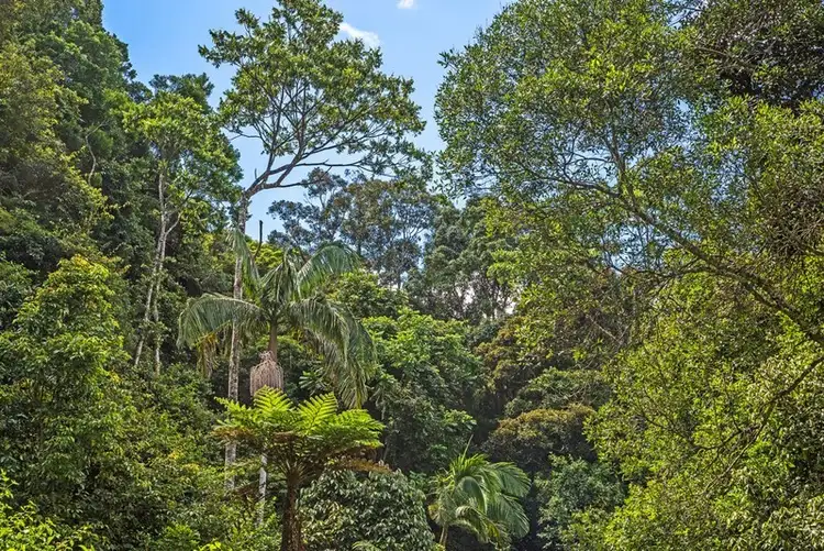 Fifth view of Homely rural property listing, 70 Cougal Road, Carool NSW 2486