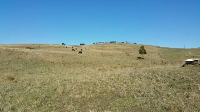 Fifth view of Homely rural property listing, Lot 101 Longview Road, Big Hill NSW 2579