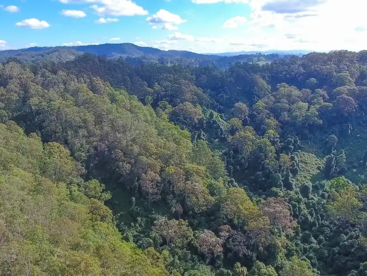 Sixth view of Homely rural property listing, 127 Quartpot Creek Road, Dungog NSW 2420