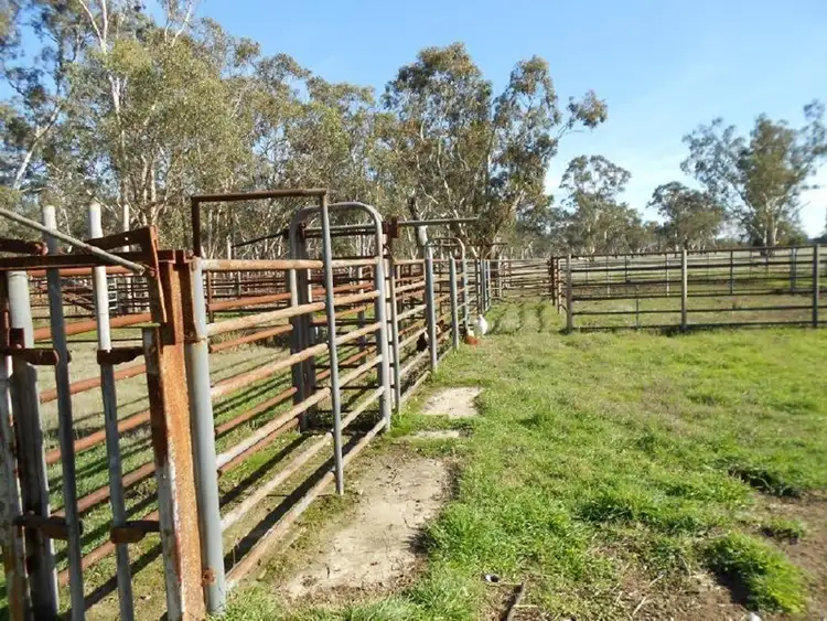 Seventh view of Homely rural property listing, 1177 My Mi Mi Road, Bangham SA 5268