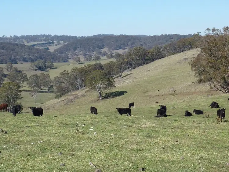 Third view of Homely rural property listing, 504 'Mt Emby' Moredun Road, Ben Lomond NSW 2365