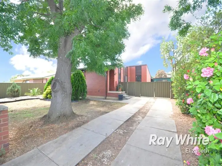 95 Mckenzie Road, Elizabeth Downs SA 5113