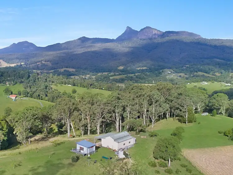 Sixth view of Homely rural property listing, 90 Yellowood Road, Tyalgum NSW 2484