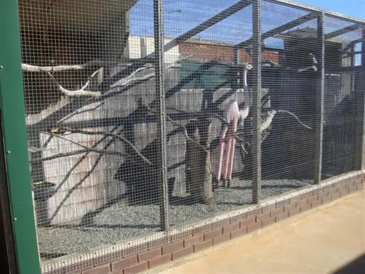 Sixth view of Homely house listing, 21 Dodd Street, Dongara WA 6525