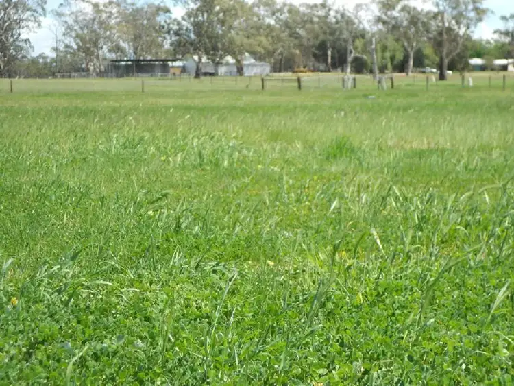 Sixth view of Homely rural property listing, 2147 Bangham Road, Frances SA 5262
