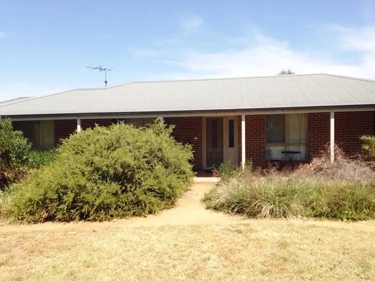 Main view of Homely house listing, 519 Spring Creek Road, Young NSW 2594