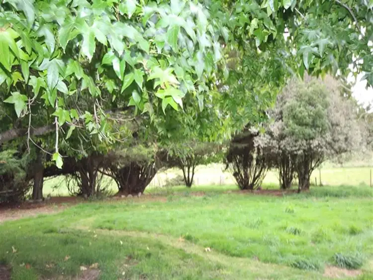 Seventh view of Homely rural property listing, Lot 3 519 Nunans Hill Road, Oberon NSW 2787