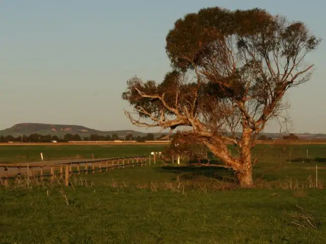 Main view of Homely land listing, Lot 294 Sadler Way, Deepdale WA 6532