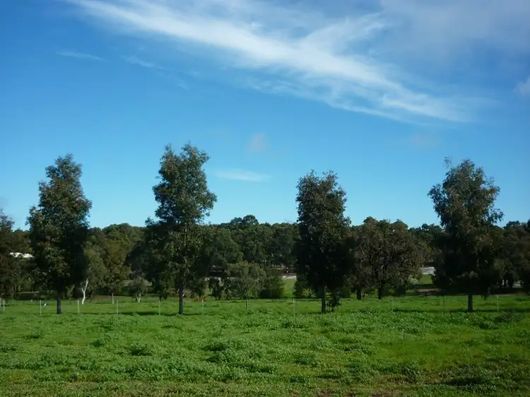 Fifth view of Homely house listing, 137 Limousin Way, Lower Chittering WA 6084