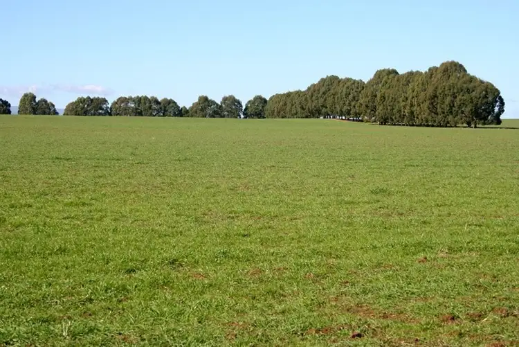 Fourth view of Homely rural property listing, Address available on request