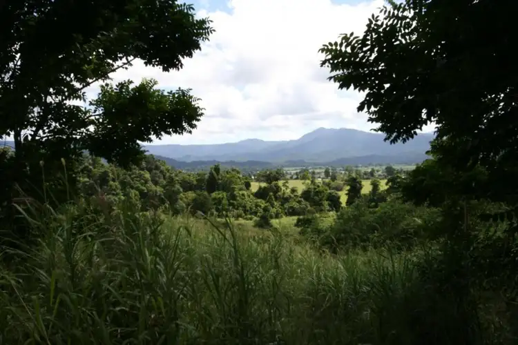 Second view of Homely rural property listing, 239 Dunne Road, East Palmerston QLD 4860