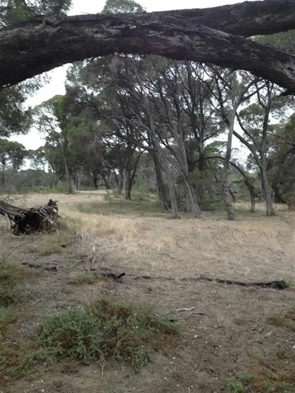 Fourth view of Homely land listing, 81 Acacia Road, Yardarino WA 6525