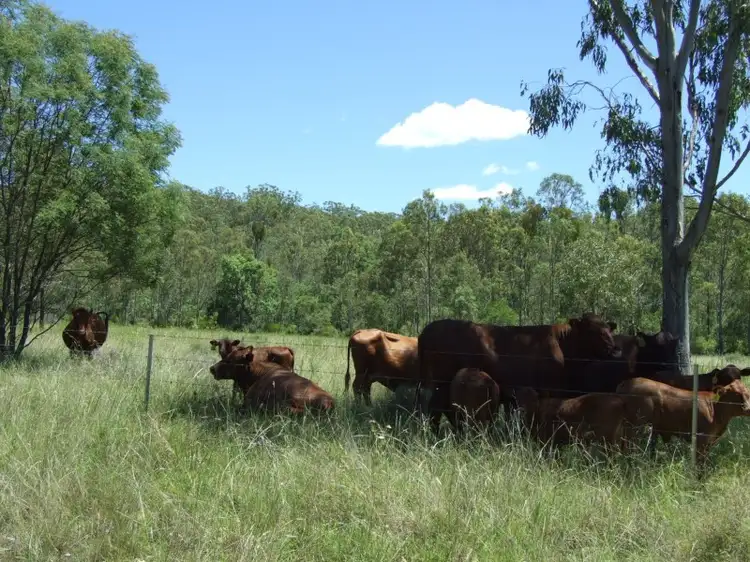 Fifth view of Homely rural property listing, L1 Emu Creek Road, Emu Creek QLD 4355