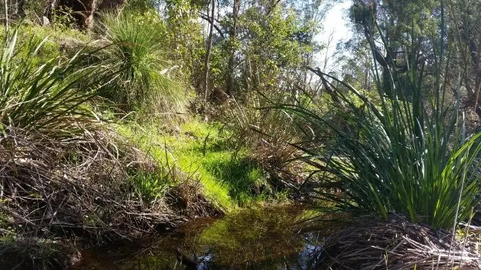 Seventh view of Homely rural property listing, Lot 701 Gold Gully Road, Nannup WA 6275