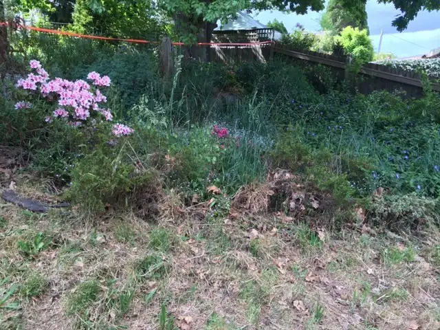 Fifth view of Homely land listing, 39 Victoria Street, Mount Victoria NSW 2786