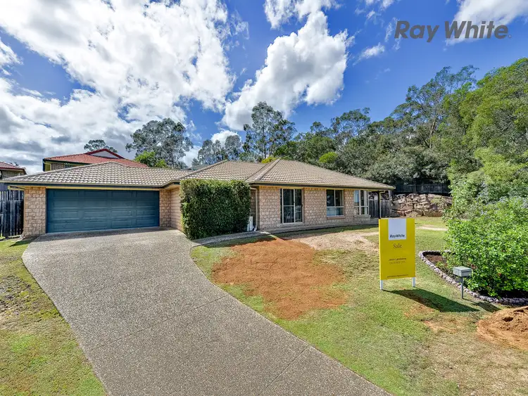 31 Dove Place, Springfield QLD 4300