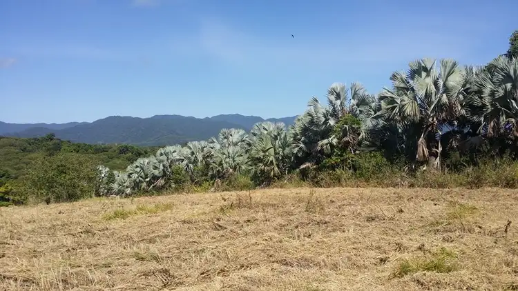 Fourth view of Homely land listing, Lot 40 Salisbury Drive, Julatten QLD 4871