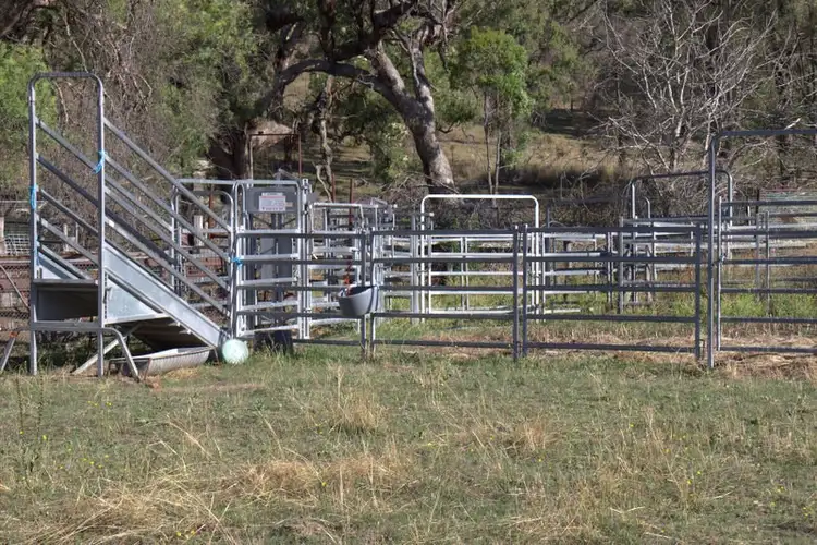 Seventh view of Homely rural property listing, ."NYINAMA" NEWELL Highway, Coonabarabran NSW 2357