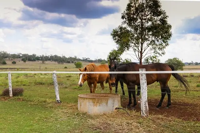 Main view of Homely rural property listing, 1741 Toowoomba Cecil Plains Road, Biddeston QLD 4401
