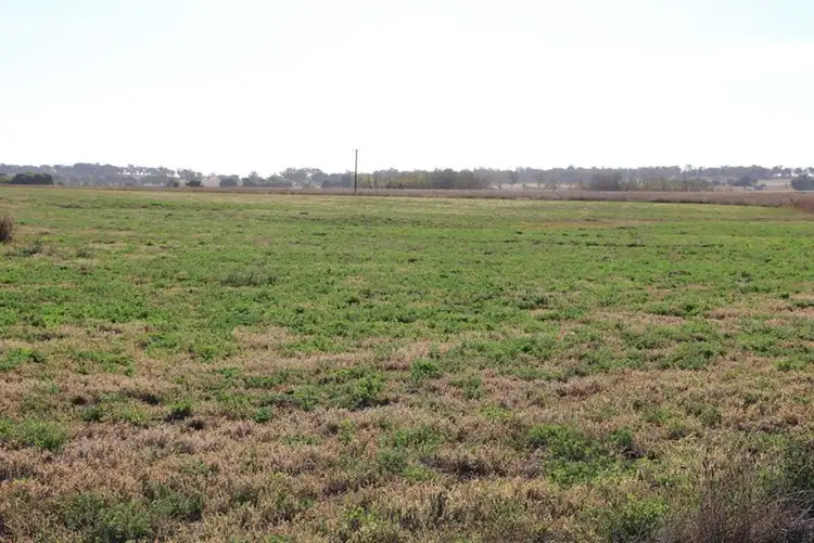 Third view of Homely rural property listing, 129 Irrigation Block Abbotts Lane, Inverell NSW 2360