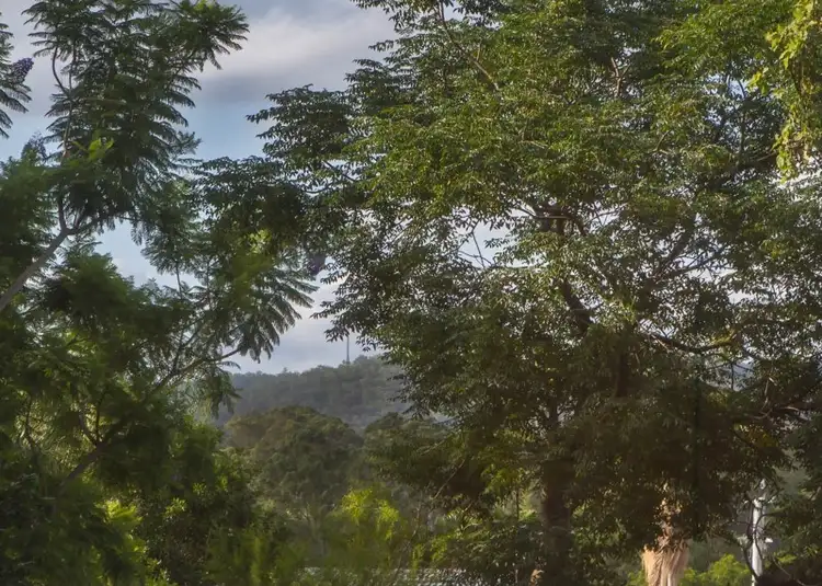 Seventh view of Homely house listing, 23 Fenchurch Street, Fig Tree Pocket QLD 4069