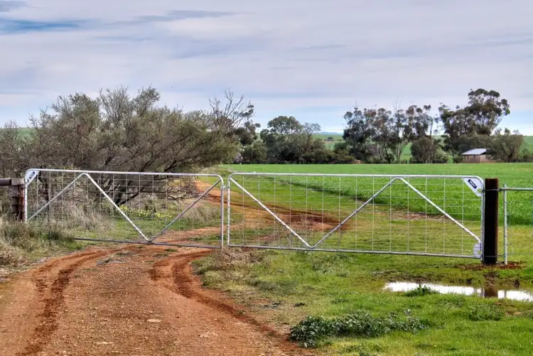 Sixth view of Homely rural property listing, 2 Lots, Wilkins Highway, Gladstone SA 5473