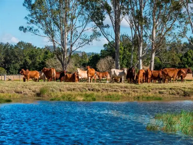 Seventh view of Homely rural property listing, "Tandarra" 177 McCauleys Lane (via Woodford), Sandy Creek QLD 4515