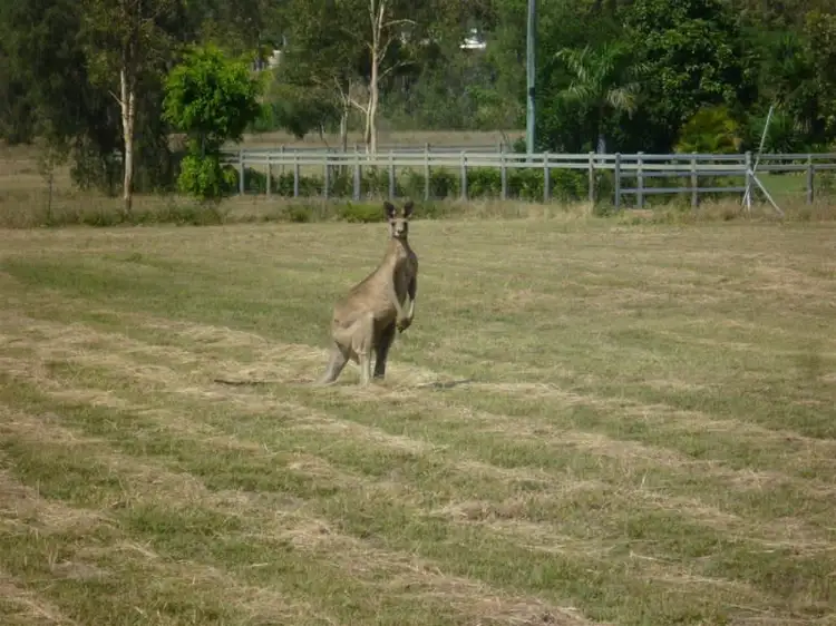 Main view of Homely land listing, 124 Lucas Street, Gracemere QLD 4702
