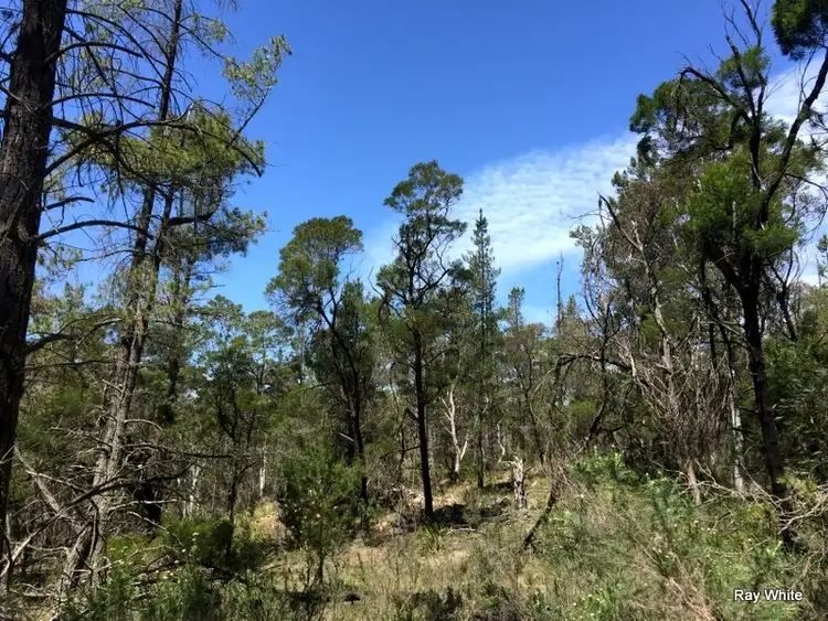 Fourth view of Homely rural property listing, 160 Nerriga Road, Braidwood NSW 2622