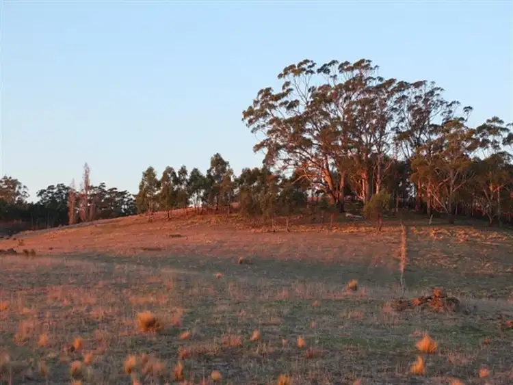 Seventh view of Homely rural property listing, 320 Molybdonite Road, Yetholme NSW 2795