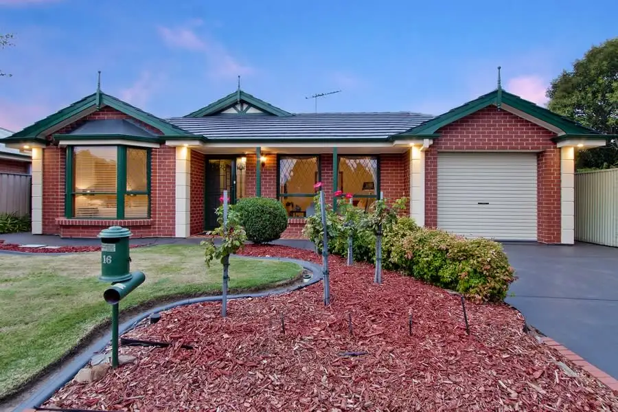 Main view of Homely house listing, 16 Castlebar Road, Lockleys SA 5032