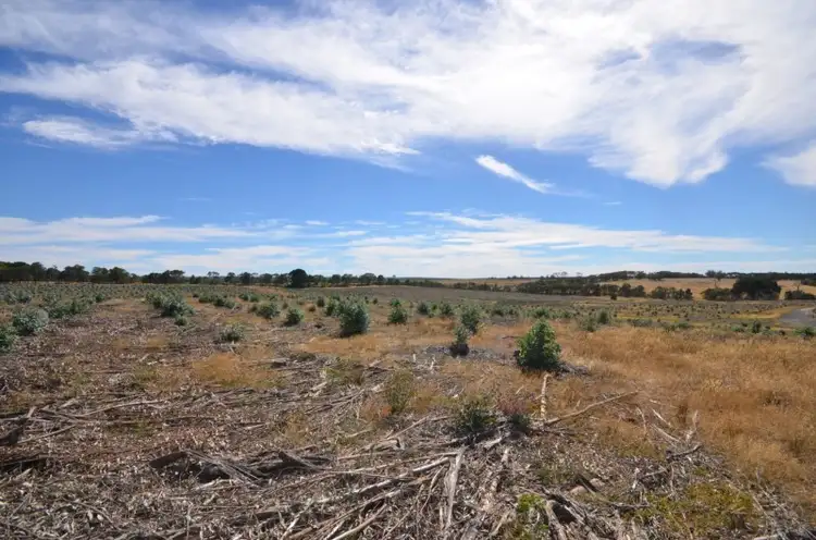 Fifth view of Homely rural property listing, "McVeigh" Mount Mercer - Dereel Road, Dereel VIC 3352
