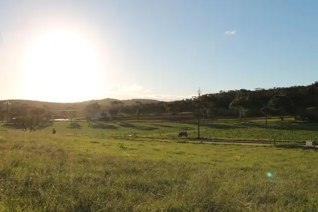 Main view of Homely land listing, Lot 1 Cowley Road, Cleve SA 5640